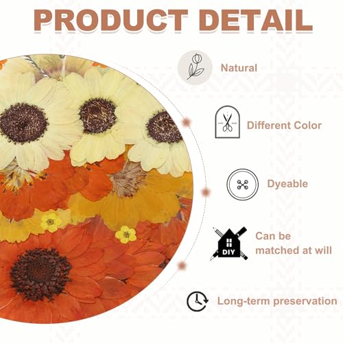 Hojas de flores prensadas secas 32 piezas para manualidades miniatura 3