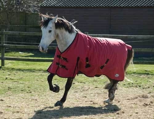 Rhinegold Breathable Konig Outdoor Horse Turnout Rug - Red 5 3