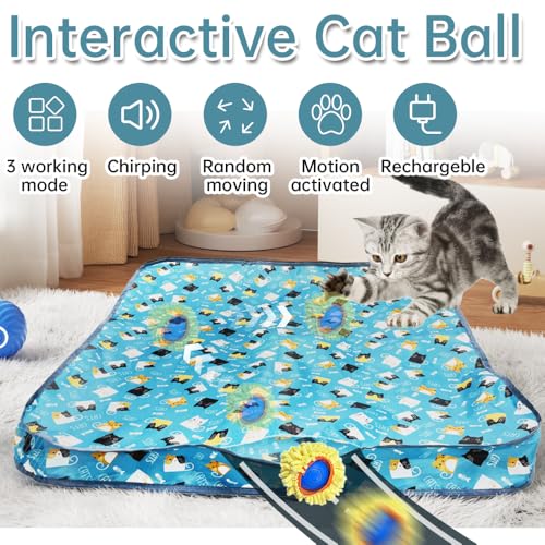 Jouets interactifs pour chats d'intérieur pour lutter contre l'ennui