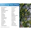 Liquid Harvest Surfactant 8 oz and Mesotrione 8 oz Bundle for Effective Lawn & Turf Grass Weed Control