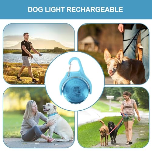 Chien invisible dans le noir ? Solution avec ce collier LED étanche