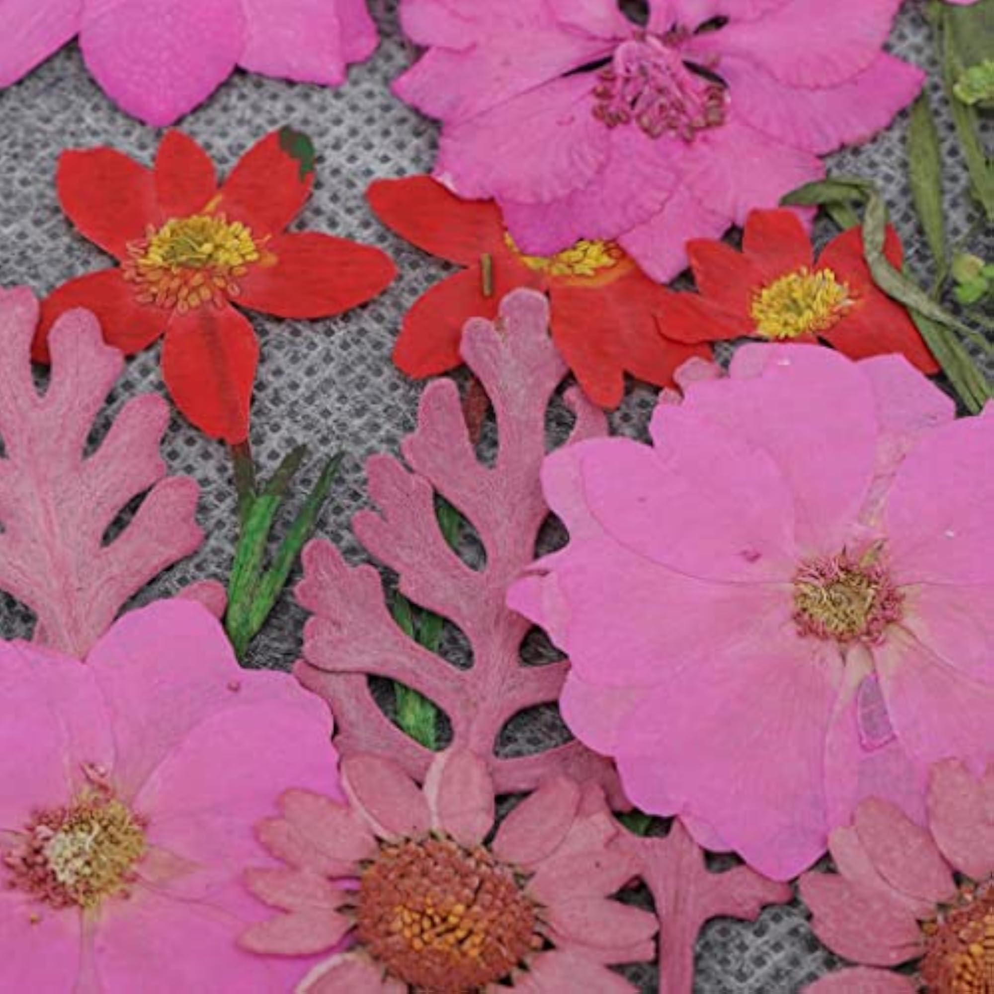 Natural Pressed Dried Flowers for DIY Crafts, 42Pc Set