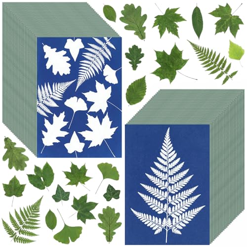 Sun Print Cyanotype Paper Kit 50 Sheets A6 Cyanotype Papers with 1 Sheet Acrylic Panel High Sensitive Nature Solar Activated Sun Printing Art Supplies for Arts Crafts DIY Project