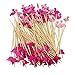 Cocktailspieße Cocktail Picks Bambus Zahnstocher Einweg Obst Sticks für Vorspeisen Früchte kleine Snacks Dessert Cocktail Ausgefallene Sticks mit Flamingo 100PCS 12cm