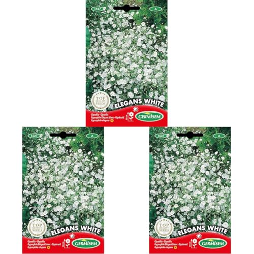 Germisem Elegans White Semillas de Gypsophila 1.5 g (EC1527) (Paquete de 3)