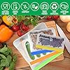 SERVEUP 20 Pack Reusable Food Storage Bags– Resealable Freezer Food Bags– Leak Proof Ziplock Airtight Container for Lunch, Snacks, Fruits and Vegetables– Thick BPA Free Eco Friendly Pouches
