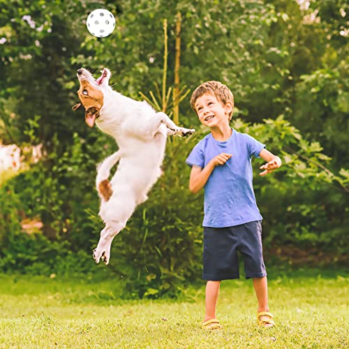 Coopay 12 Pack Baseball Practice Baseballs Plastic Hollow Soft Balls With A Drawstring Bag For Hitting, Baseball Training Indoor Outdoor Use (White) #TOP6