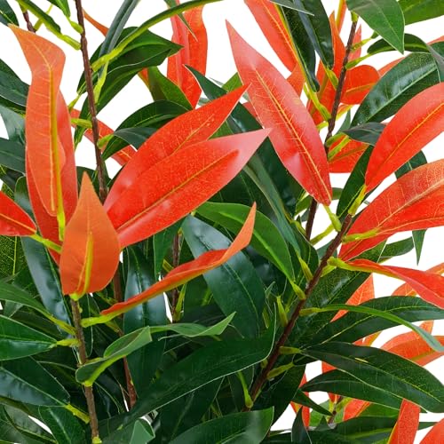 Künstliche Glanzmispel PHOTINIA ca. 80 cm hoch Kunstpflanzen künstliche Pflanzen JWS2641 – Bild 4