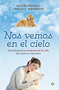 Livres Couvertures de Nos vemos en el cielo (Palmyra) Versión Kindle
