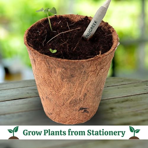 Image of Bombay Greens Seed Diary with Plantable Pencils Bio degradable Eco-Friendly Stationery for Corporate Gifting | Sustainable Gifts with Pencils Card - Pack of 5