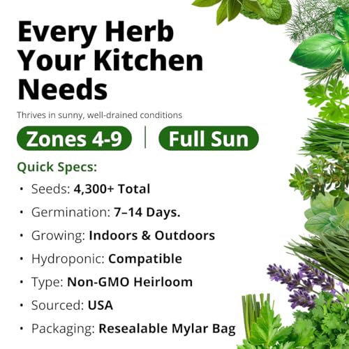 Image of HOME GROWN Herb Seeds for Planting 15-Pack Massive Seed Count 4,300+ Seeds Non-GMO Heirloom | Extra Large | Culinary Herb Kit, Indoor Outdoor & Hydroponic | Grow Your Own Herbs | Gardening Gift