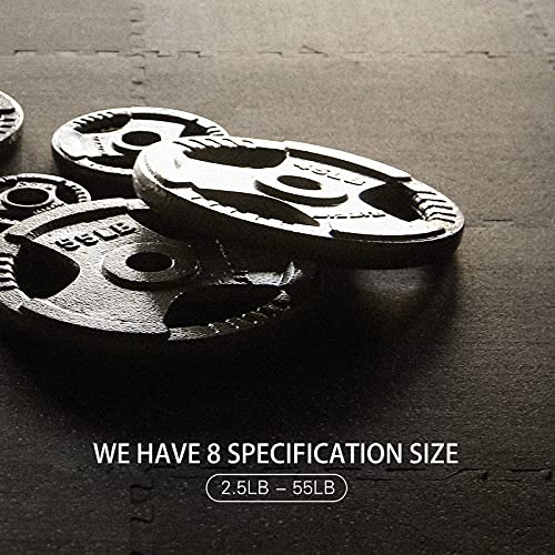 Ritfit Grip Plate For Barbell, 2-Inch Iron Olympic Weight Plate For Weightlifting And Strength Training In Home & Gym(35Lb, Single) #TOP6