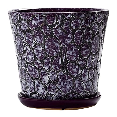 Poterie en argile de qualité pour la longévité de vos succulentes