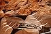 SOLARON Korean Super Thick Heavy Weight Ultra Silky Soft Mink Heavy Duty Reversible Blanket bed comforters bedspreads bedding comforter King or Queen(King, 226 Lions BROWN)