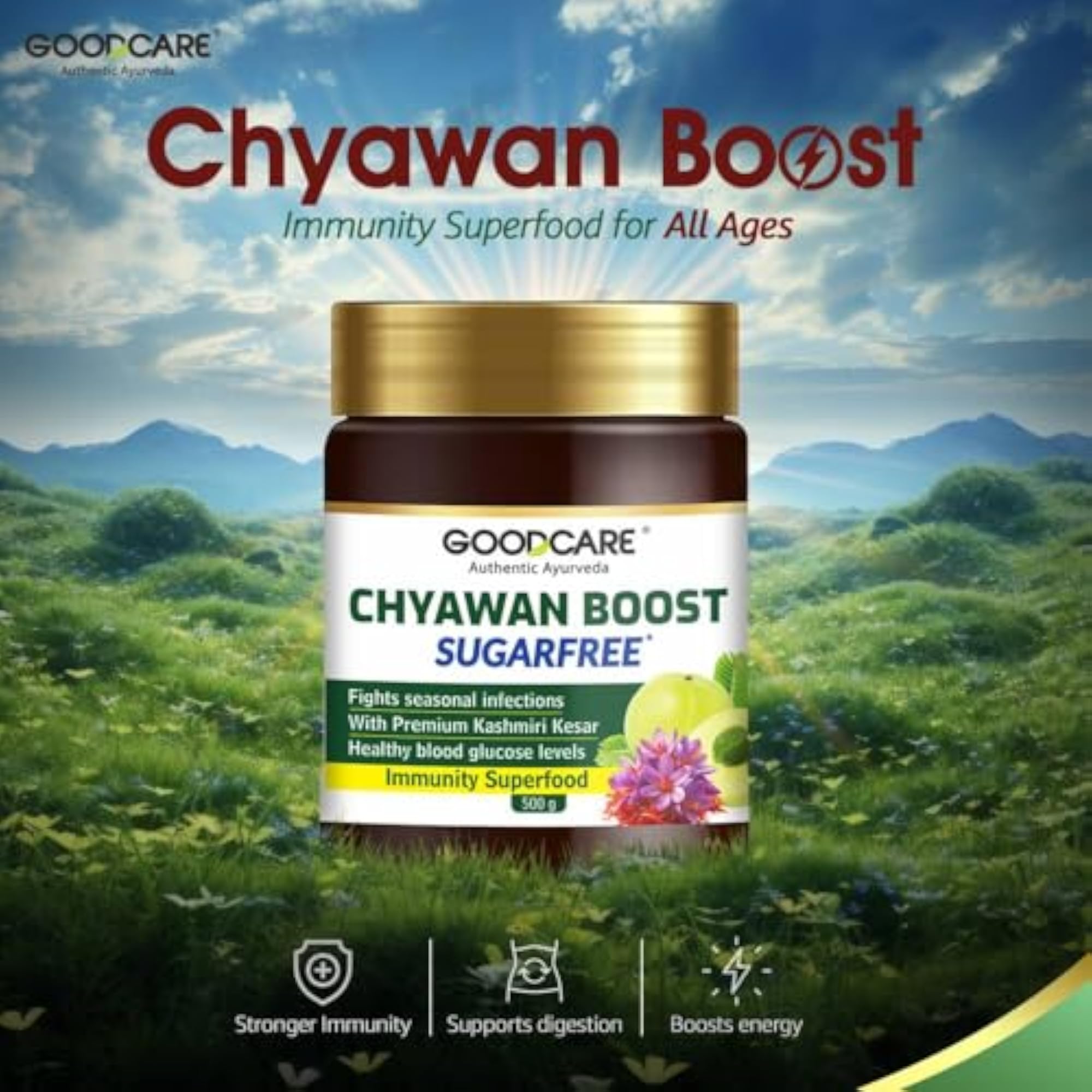 Goodcare Chyawan Boost Sugarfree Superfood