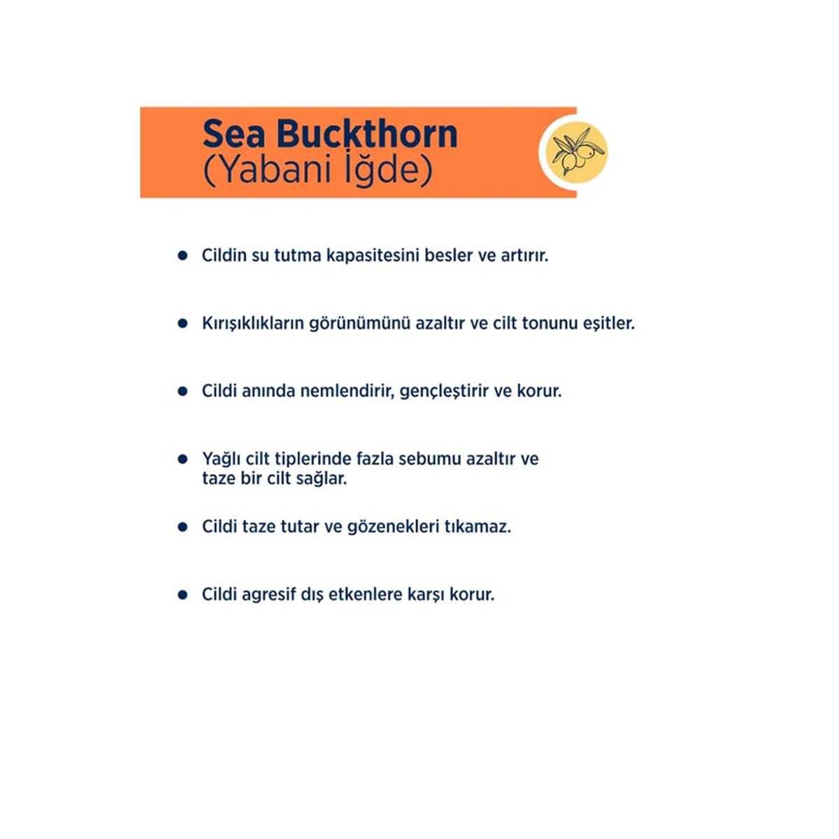Celenes Sea Buckthorn Vücut Losyonu Tüm Cilt Tipleri (200 ml)