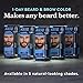 Just for Men 1-Day Beard & Brow Color, Temporary Color for Beard and Eyebrows, For a Fuller, Well-Defined Look, Up to 30 Applications, Medium Brown (Pack of 2)