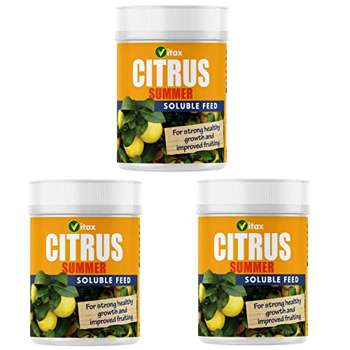 Wolvercroft Garden Centre Vitax Citrus Summer Feed (200g) X 3