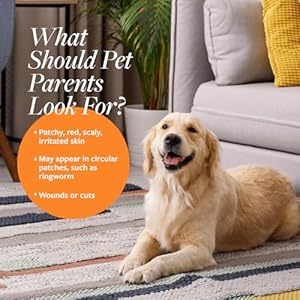 Veterinary Formula Clinical Care Antiseptic and Antifungal Medicated Shampoo for Dogs  Cats 16 Fl Oz  Helps Alleviate Scaly Greasy Red Skin  Paraben Dye Soapfree 1 Pack  Cucciolini Doodles Veterinary formula clinical care antiseptic and antifungal medicated shampoo for dogs  cats 16 fl oz  helps alleviate scaly greasy red skin  paraben dye soap free 1 pack   cucciolini doodles