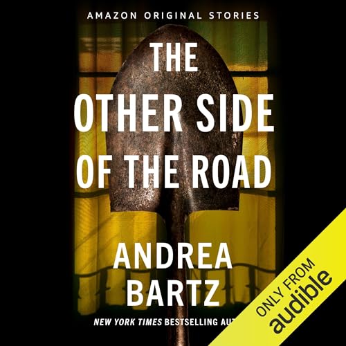 The Other Side of the Road by Andrea Bartz episode artwork