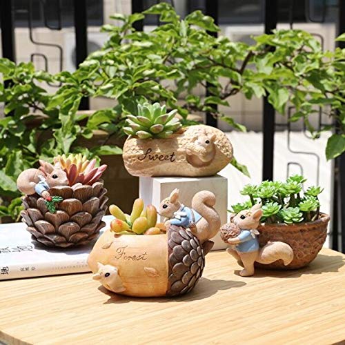 Brotherhood Enterprise Ceramic, Resin Pot Combo Cute Squirrel Fleshy Succulent Planter Pot Handpicked Beauty Enhancer Design|Polyresin Pot Without Plant Pack Of 4, Multicolour (B08W4HRP4Q) Amazon Price History, Amazon Price Tracker
