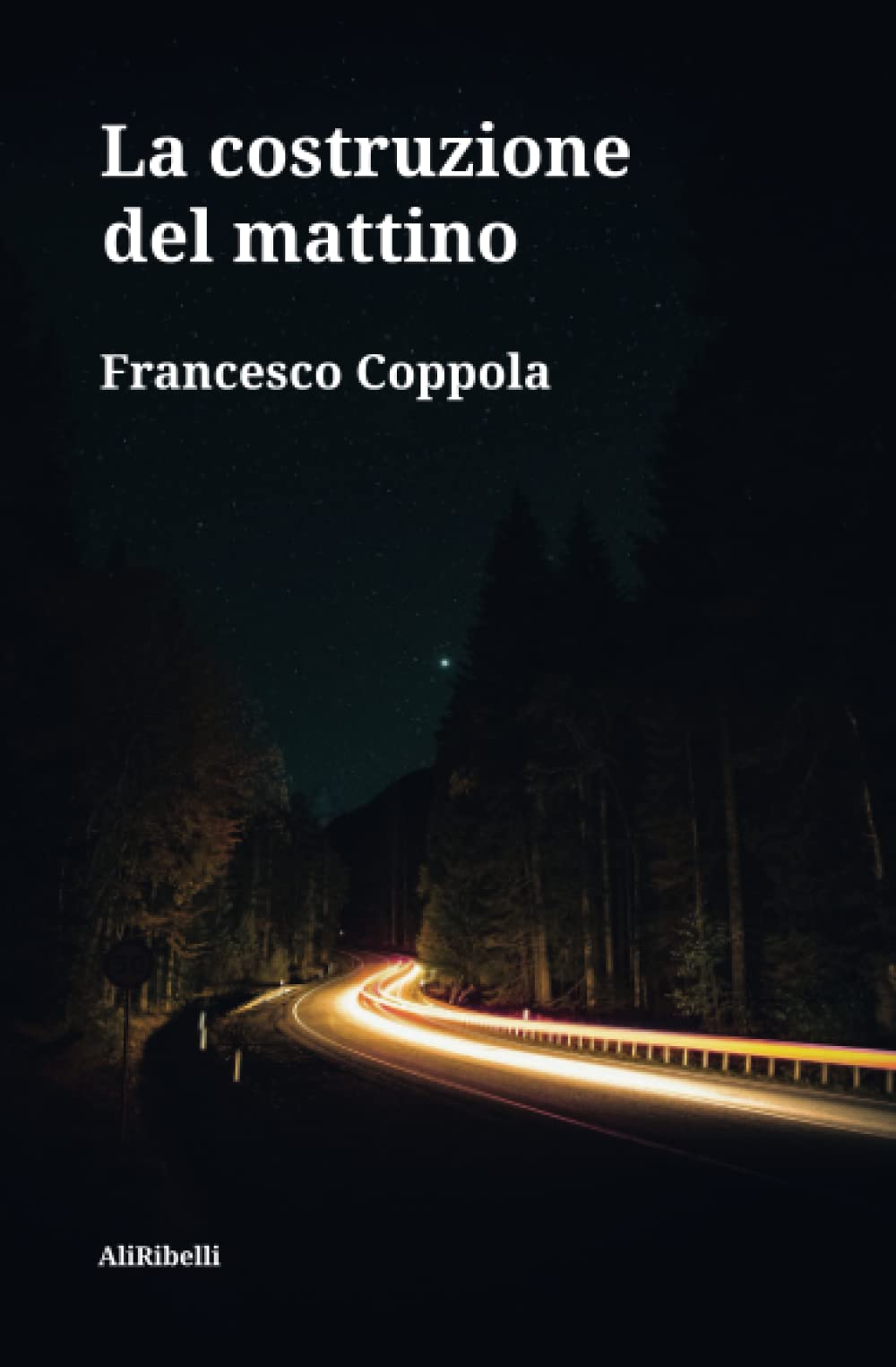 La costruzione del mattino (Italian Edition)
