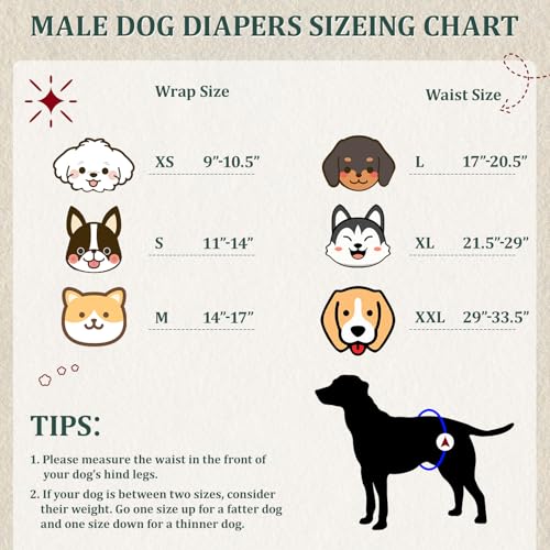 Image of Reusable Dog Diapers Male, Premium Washable Belly Bands for Dogs XXL, Pack of 5, High Absorbing Dog Wraps for Doggie & Puppy in Incontinence or Excitable Urination and Training(XXL)