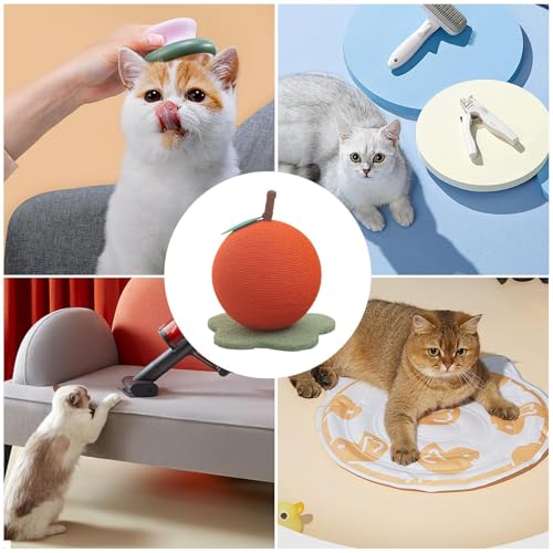 Balle à gratter pour chat orange et griffoir interactif pour chatons
