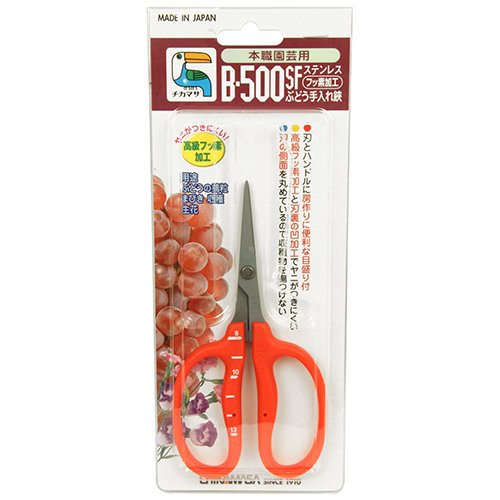 Chikamasa B-500Sf Stainless Steel Fluorine Treated Grape Care Shears #TOP1
