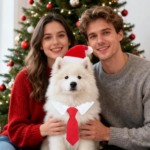 MELLIEX 2 Stück Weihnachten Hundekostüm, Hunde Katzen Weihnachtsmützen und Krawatte Weihnachtskostüm Zubehör Set für Haustier(46cm