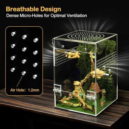 Image of Jumping Spider Enclosure Starter Kit,Escape Proof Forest Terrarium | Praying Mantis Terrariums,Transparent Acrylic Complete Bug Habitat,All In One Arboreal Tarantula Cribs Cage,Insect Container