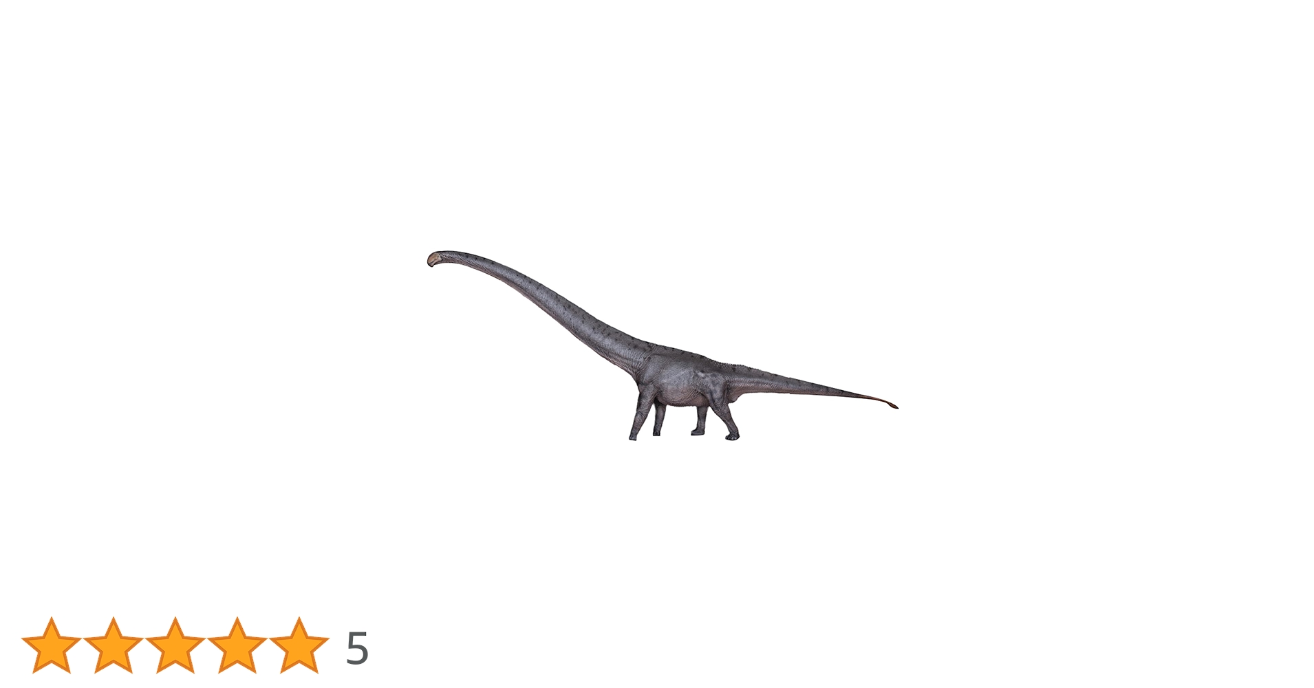 51QoYmKVdYL.jpg_BO30,255,255,