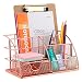 Rose Gold Desk Organizer with 6pcs Metal Paper Clips, FBve All in One Metal Desktop Organizer - Pen, Memo, Business Card, Paper Office Organizer for Office Supplies and Desk Accessories