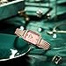 LN LENQIN Relojes Mujer Acero Inoxidable Reloj de Mujer Resistente Al Agua Reloj de Cuarzo AnalóGico Correa de Malla Imagen de LN LENQIN Relojes Mujer Acero Inoxidable Reloj de Mujer Resistente Al Agua Reloj de Cuarzo AnalóGico Correa de Malla