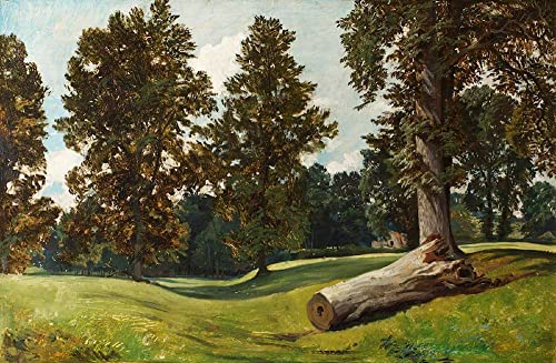 Scène de forêt décoration murale salon avec le tableau Muller 60x90