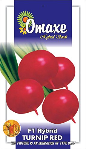Omaxe Turnip Red - 3 Packets 3gm Seeds Each Pack Vegetable Seeds (B00LC0O1XE) Amazon Price History, Amazon Price Tracker