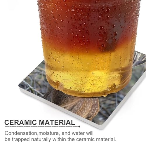 Dessous de verre céramique pour éviter taches et rayures de table - 5