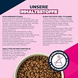 Eukanuba Senior Hundefutter mit frischem Huhn für kleine Rassen, Premium Trockenfutter für ältere Hunde, 3 kg