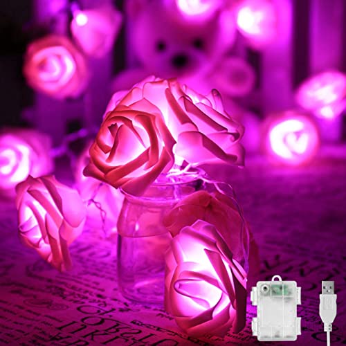 AQOTER Blume Lichterketten Blau, 4M 40er LED Rosen Lichterkette USB & Batterie LED Blume Lichterkette Innen Künstliche Rose Girlande Fee Lichter für Muttertag Hochzeit Geburtstag Jahrestag (Pink) Cover