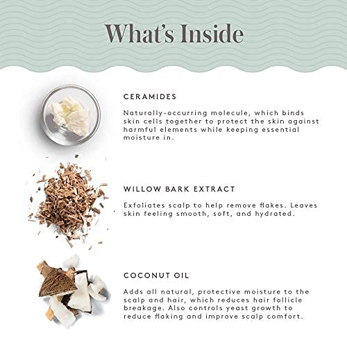 Livso Complete Hair And Scalp Moisturizing Solution - Shampoo, Conditioner And Lotion - Naturally Derived - Fresh Feel Product - A Little Bit Of Livso Goes A Long Way #TOP6