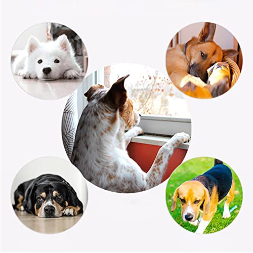 Brinquedos de pelúcia para cães | Brinquedos de pelúcia para animais de estimação resistentes à mord