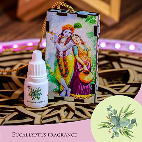 Image of Car Air Freshener Auto Perfume Car Decor Accessory Wood Scent Essential Oil Aroma pendant for Car Mirror Hanging Car Interior Diffusers Exclusive gifts (1 pcs, EUCALLYPTUS FRAGRANCE)