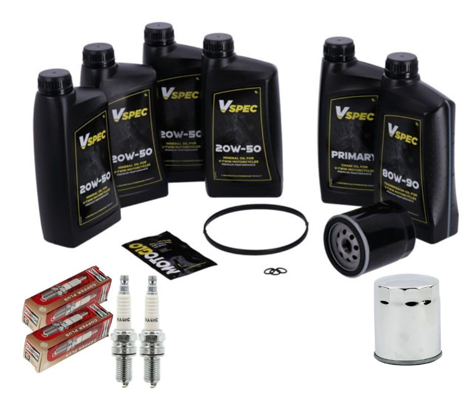 Set Cambio Olio Moto Per HARLEY-DAVIDSON Con Liqui Moly - 5 Filtri Olio + Olio 20W-50 (4L) + Guarnizione O-Ring