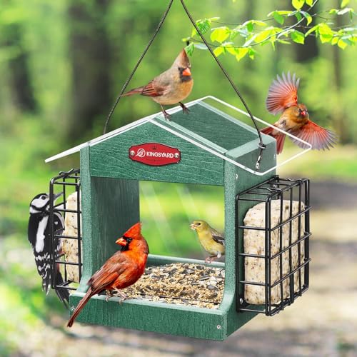 Kingsyard Bird Feeder for Outdoor Hanging - Recycled Plastic Double Suet Cages Wild Bird Feeder with Metal Mesh Tray and Rainproof Roof, 2.5 LBS Large Capacity. Green