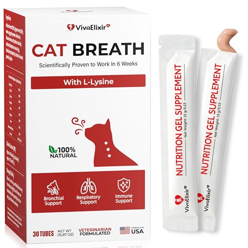 Lysine for Cats Helps Reduce Sneezing Coughing Runny Nose & Upper Respiratory Treatment Taurine + Echinacea Immune Support Cat Cold Asthma & Nose Relief Respiratory Support Bars