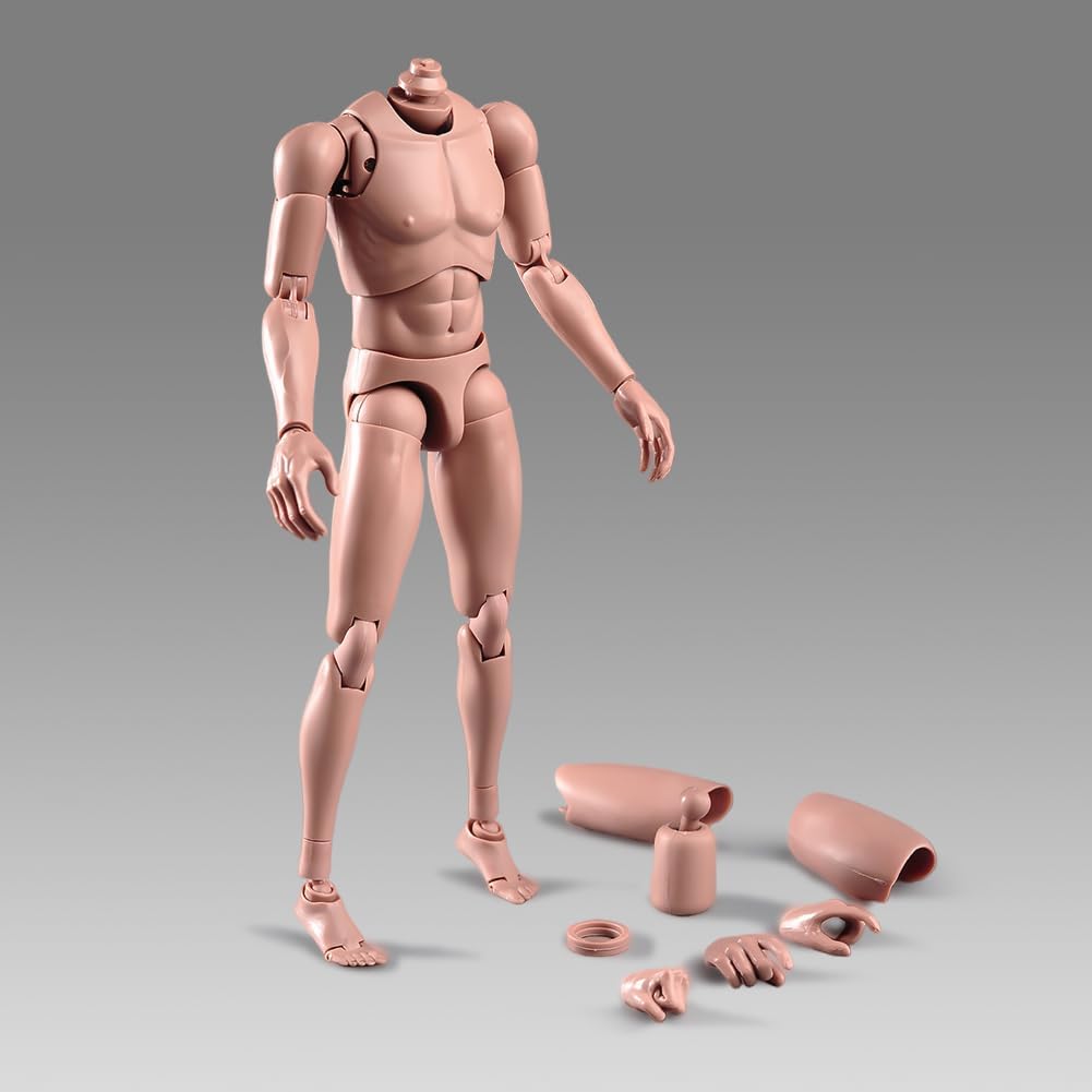 1:6 Scale Muscle Male Action Figure Asian Skin 12 Inch Flexible Male Figure Body Doll Miniature Figure Without Head Sculpt