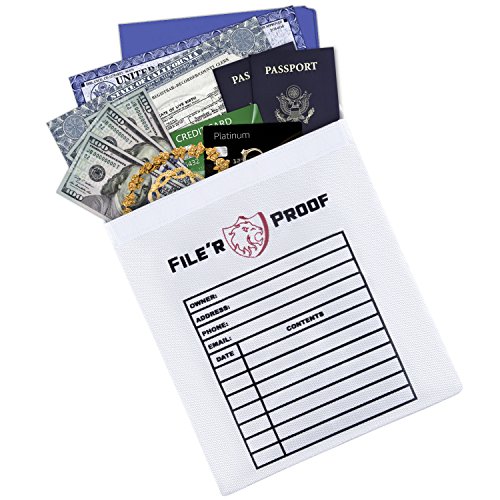 File'R Proof - Bolsa de documentos ignífuga (38 x 28 cm) |...