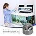 PATIKIL 1.3 Inch (32mm) Fish Cover Permeable Cap, 8 Pcs PVC Breathable Cap Aquarium Guard Fish Tank Intake Cover, Gray