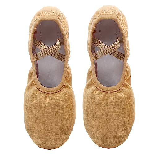 Lurrose 1 hf ̖ƌn \t  ȗ q ܂őΉ e  ?