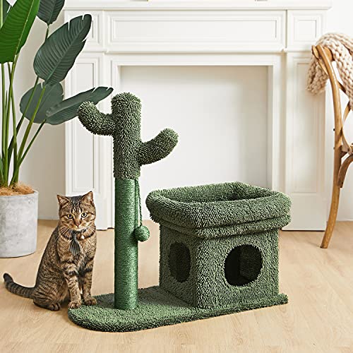 Catinsider 2 In 1 Cat Scratching Post Kitty Condo With Dangling Ball For Small Cats Green #TOP6